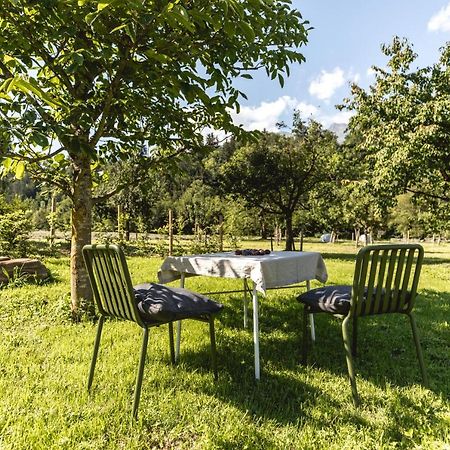 Iselhof Apartment Lienz Exterior photo